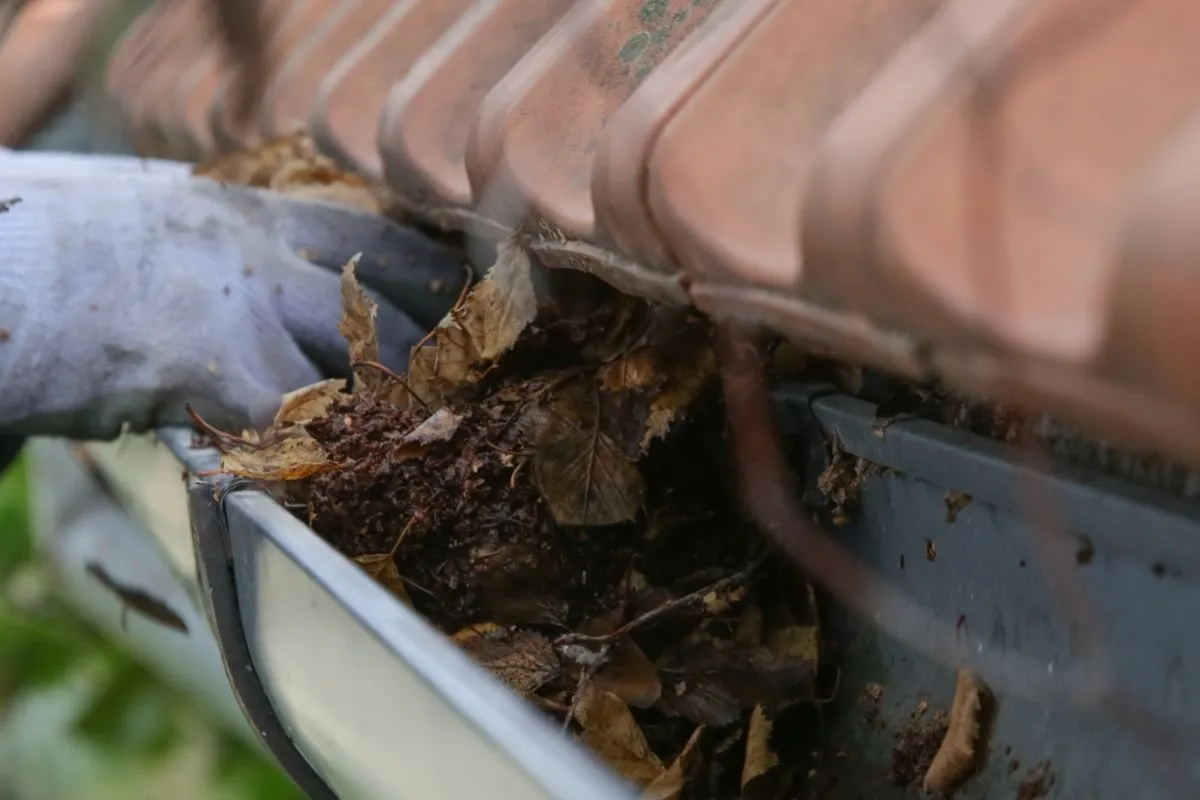 Gutter Cleaning Logan