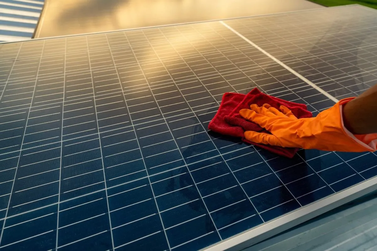 Solar Panel Cleaning Logan