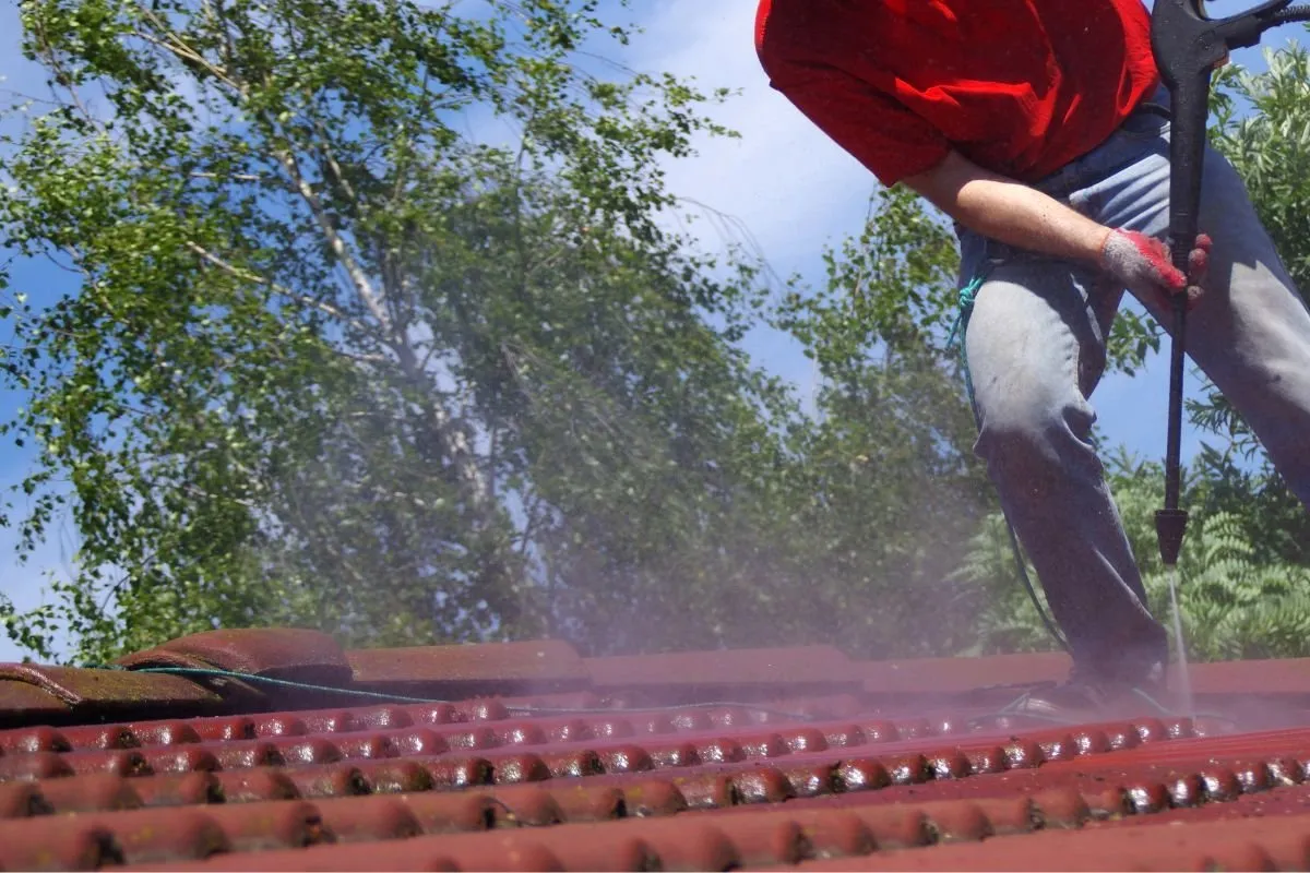 Tile Roof Cleaning Logan