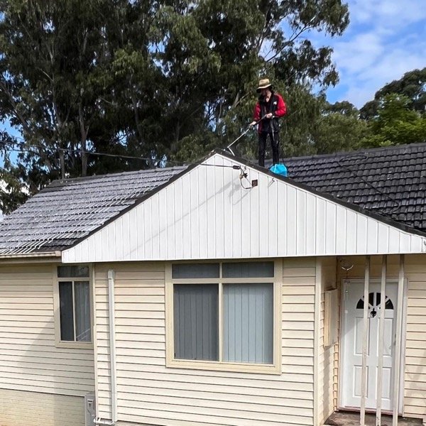 Tile Roof Cleaning - Surface Preparation in Logan